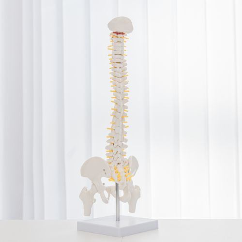 orthopaedie-emmelshausen foto-galerie-3-motiv-zentriert-v93